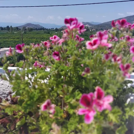Plaka 16 - 'the Roof' - Drepano, Nafplio Daire