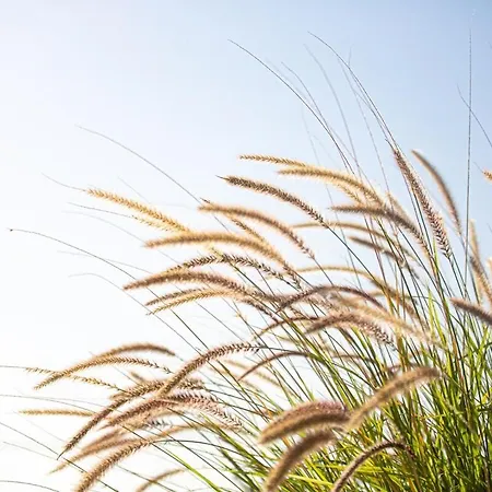 Plaka 16 - 'the Roof' - Drepano, Nafplio Daire