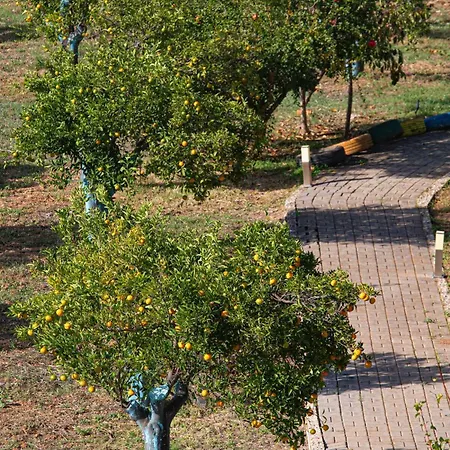 Plaka 16 - 'the Roof' - Drepano, Nafplio Apartment