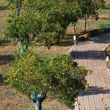 Plaka 16 - 'the Roof' - Drepano, Nafplio Daire