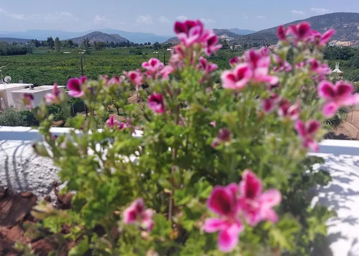 Plaka 16 - 'the Roof' - Drepano, Nafplio Апартаменты