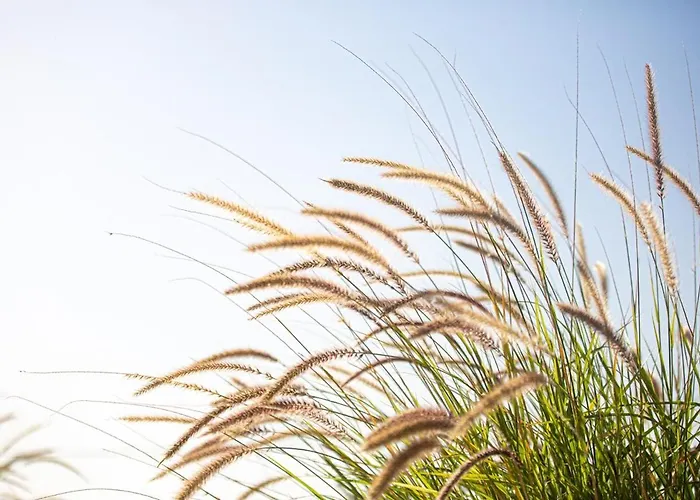 Plaka 16 - 'the Roof' - Drepano, Nafplio Апартаменты