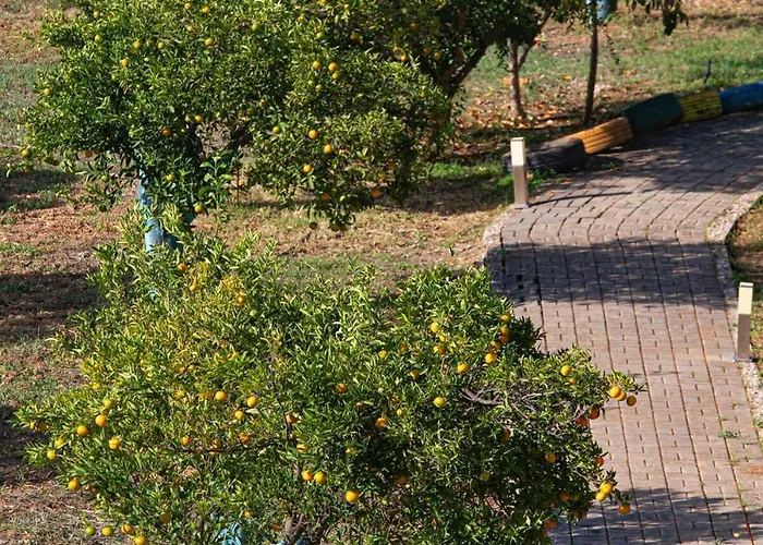 Plaka 16 - 'the Roof' - Drepano, Nafplio Апартаменты